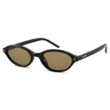 COASION Polarized Retro Oval Cat Eye Sunglasses Review: Your Essential Y2K Chic Companion