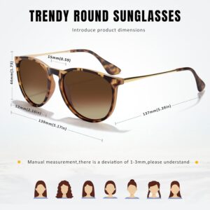 CHBP Polarized Sunglasses for Women Men - Trendy 2026 Vintage Classic Retro Round Mirrored Lens Designer Style 1-a Leopard Frame Brown Lens